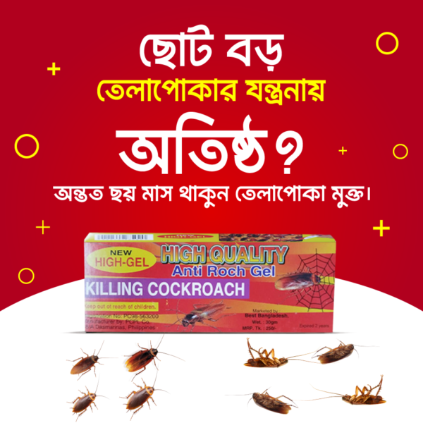 হাই-কোয়ালিটি এন্ট্রি-রোচ ককরোচ কিলার জেল